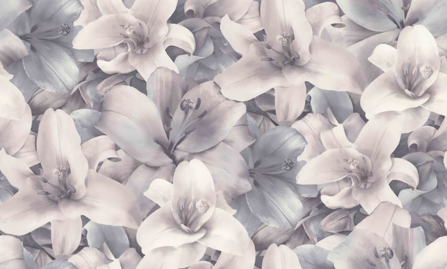 PP71461
